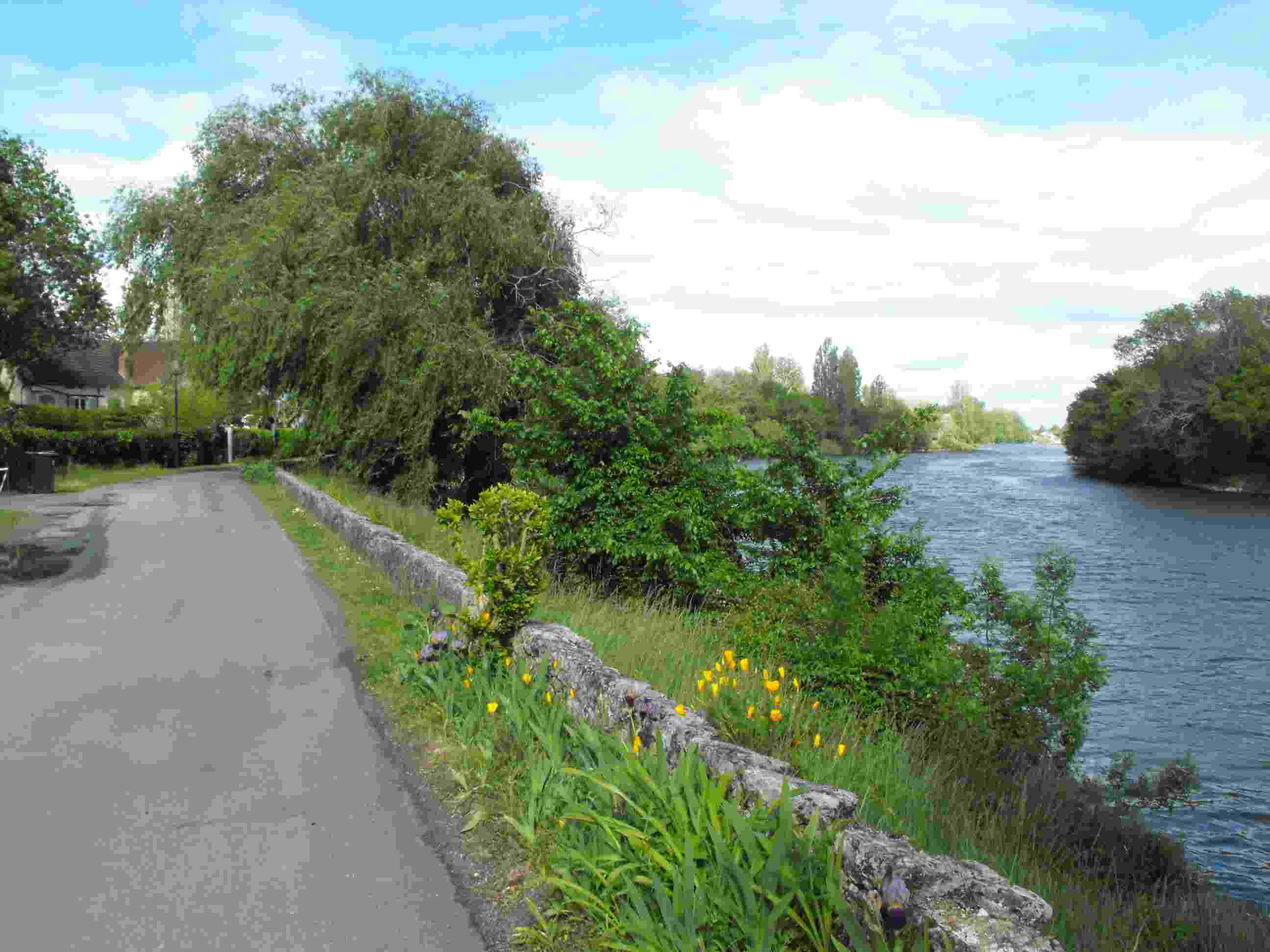Chemin en bordure de la rive du Cher  Veretz